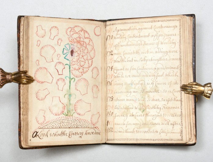 Illustration captioned 'O look at what the earwigs have done'.