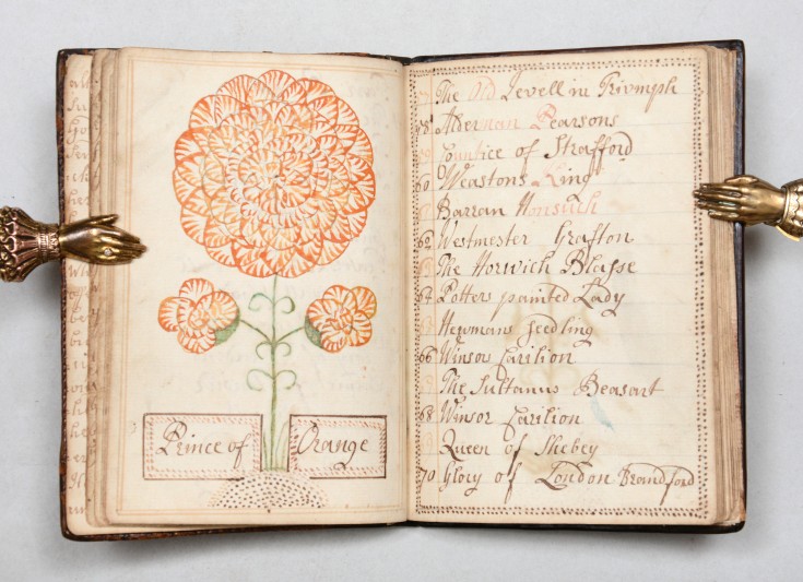 Illustration 'Prince of Orange'.