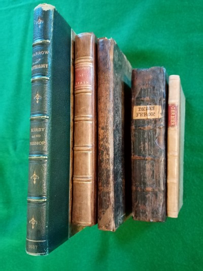 Image showing the spines of the books that were acquired.