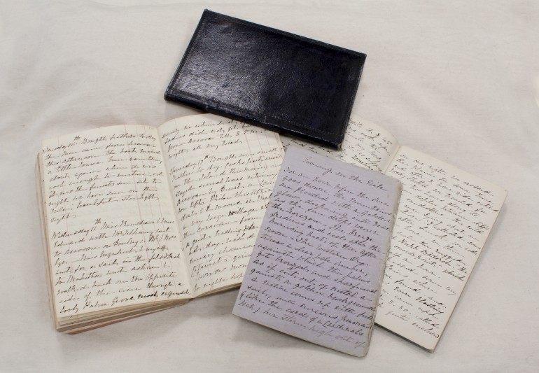 Jenny Lane's journals.