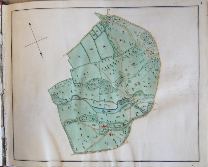 A map of Panshanger Park, 1810.