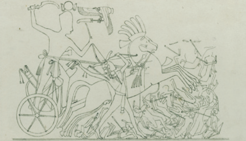 Battle scene of Seti I in a chariot, from temple wall at Karnak. 