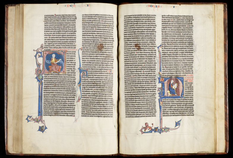 An opening of the manuscript.