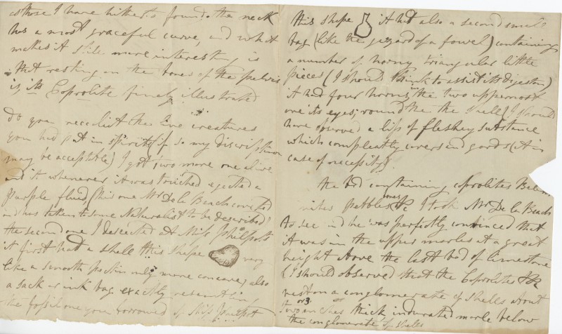 Signed letter from Mary Anning to William Buckland, 21 December 1830. 