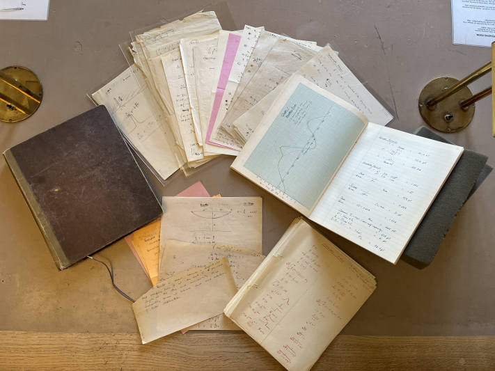 The Delilah papers