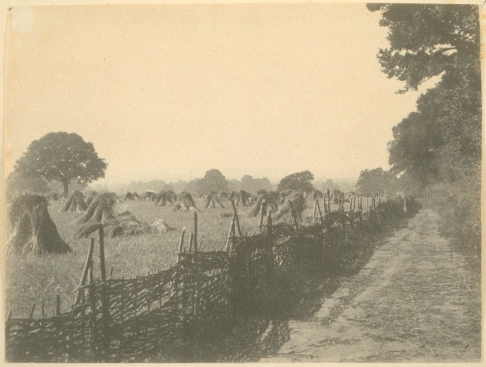 Field with Haystacks and Wattle Fencing Separating Road from Woodland, 1885. Field with Haystacks and Wattle Fencing Separating Road from Woodland, 1885. Image courtesy of the Garden Museum.