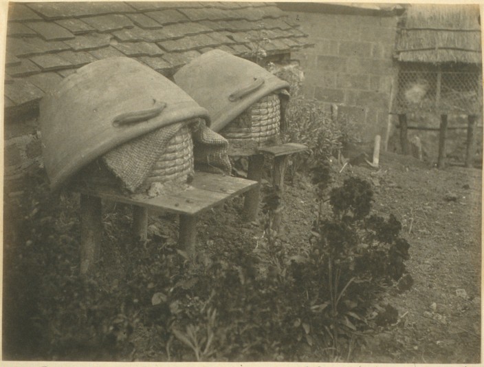 Two Straw Bee Skeps in a Cottage Garden, 1885. Image courtesy of the Garden Museum.
