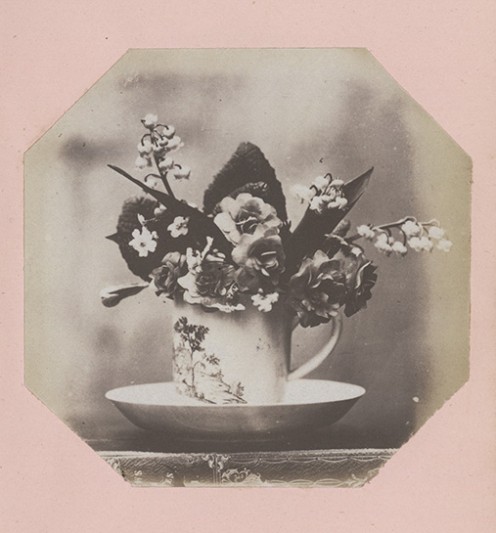 Image from Mary Dillwyn's Llysidinam album, p.5 r. (mar00016). Image courtesy of National Library of Wales.